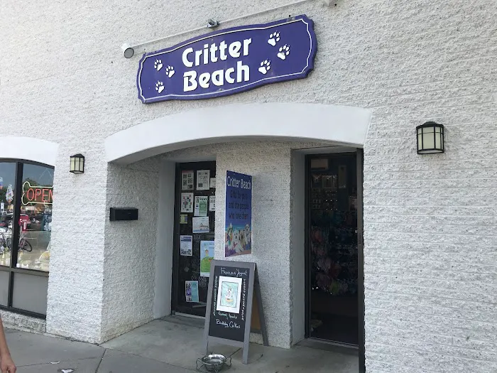 Critter Beach Picture 5