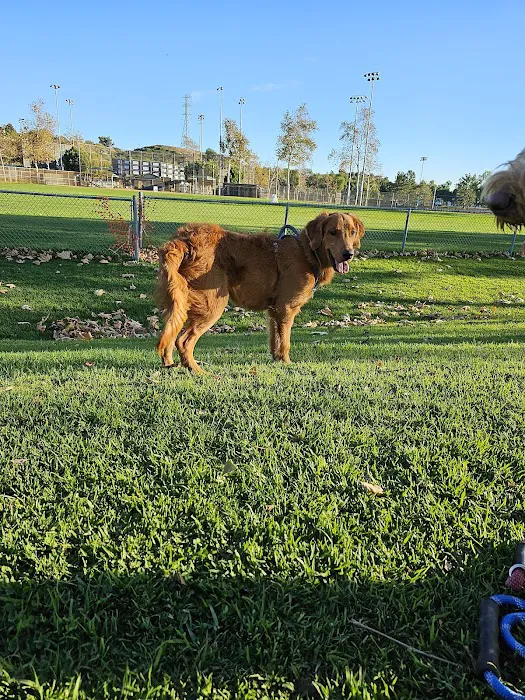 Ladera Ranch Animal Hospital Picture 8