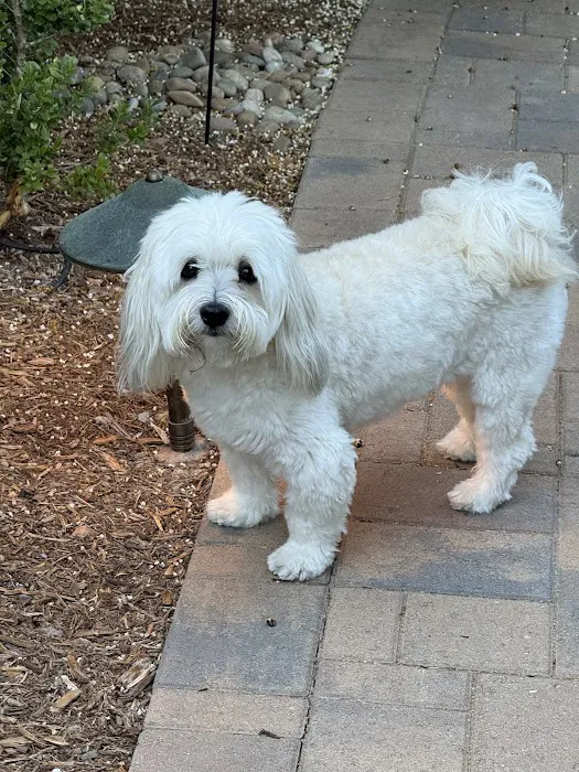Ladera Ranch Animal Hospital Picture 1