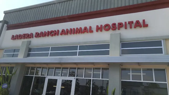 Ladera Ranch Animal Hospital Picture 2
