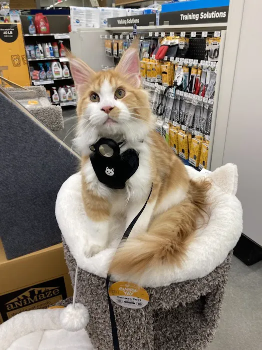 Petco Picture 2