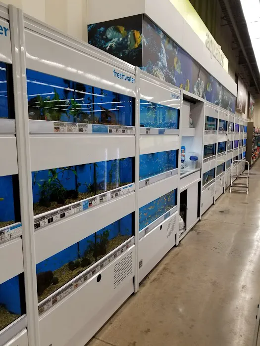Petco Picture 1