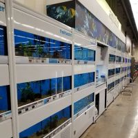 Petco ico