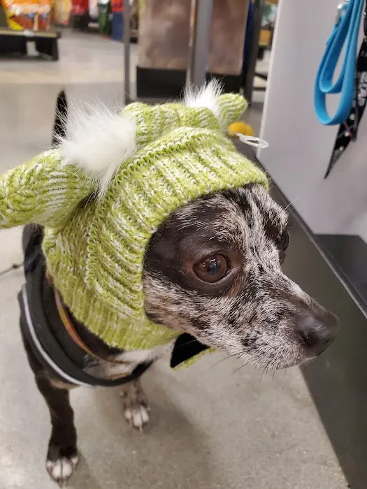 Petco Picture 6
