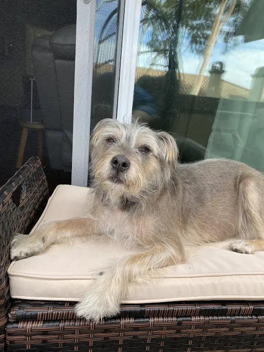Antonio Animal Hospital Picture 7