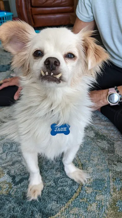 Antonio Animal Hospital Picture 1