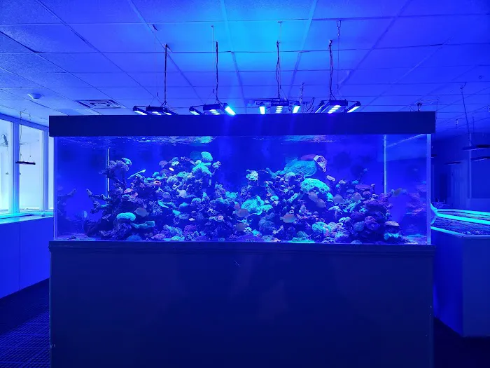 Pacific East Aquaculture Picture 8