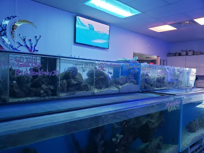 Pacific East Aquaculture Picture 1