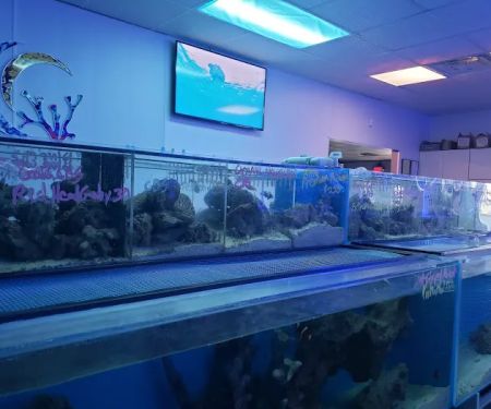 Pacific East Aquaculture