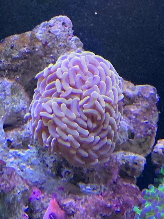 Pacific East Aquaculture Picture 7