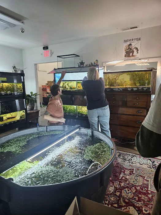 Father Fish Aquarium Picture 7