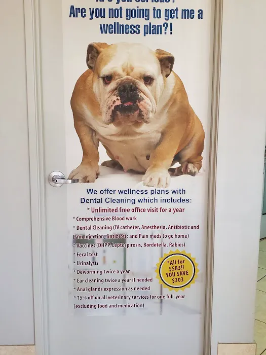 Pico Veterinary Clinic San Clemente Picture 8