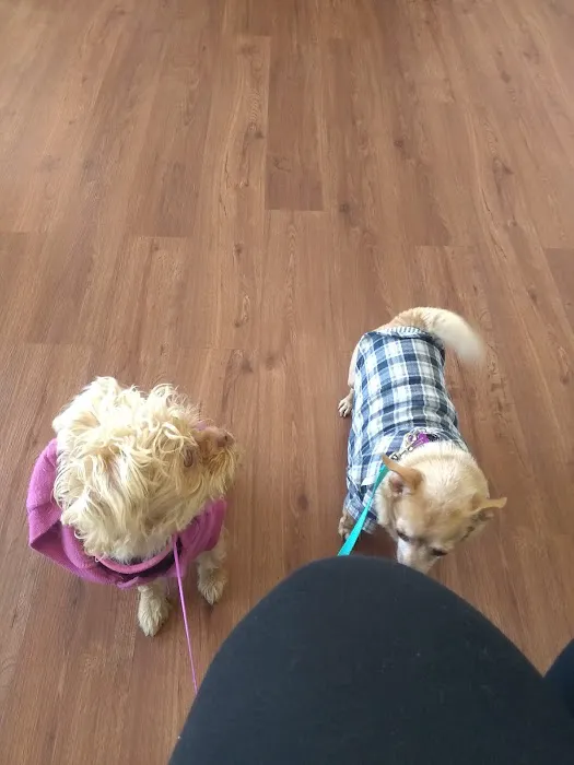 Pico Veterinary Clinic San Clemente Picture 4