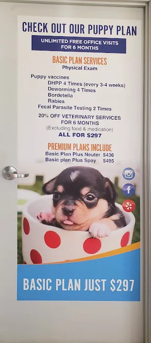 Pico Veterinary Clinic San Clemente Picture 7