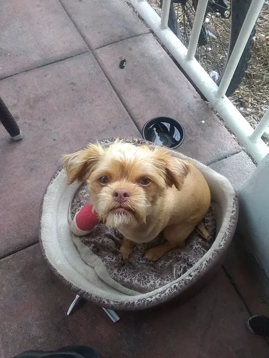 Pico Veterinary Clinic San Clemente Picture 6
