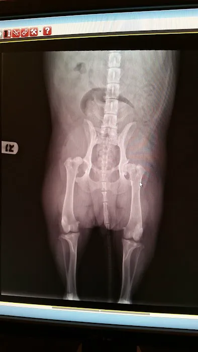 Avenida Animal Hospital Picture 6