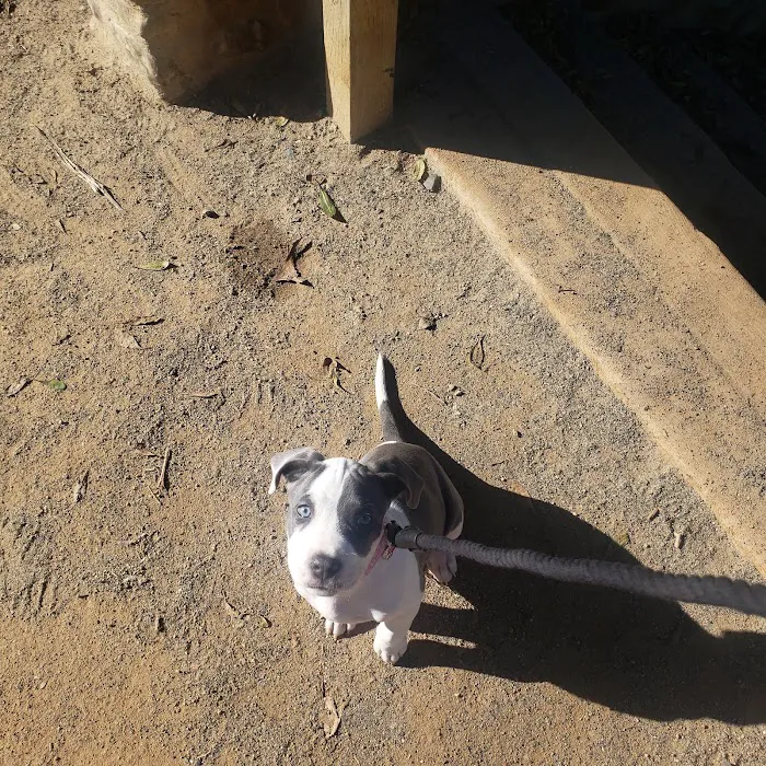 Avenida Animal Hospital Picture 7