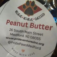 Pride Paws ico