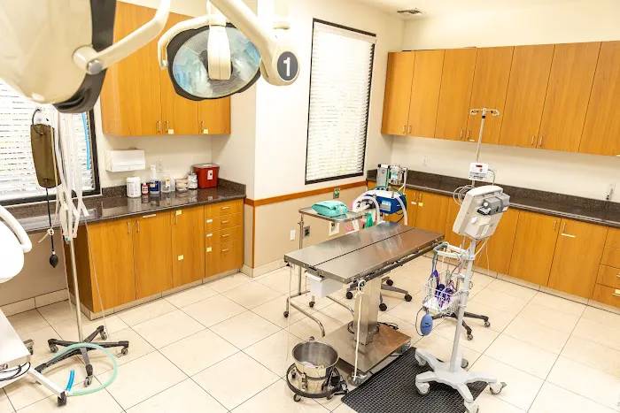 Talega Animal Hospital Picture 6