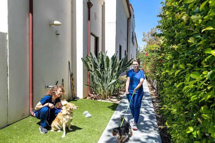 Talega Animal Hospital Picture 8