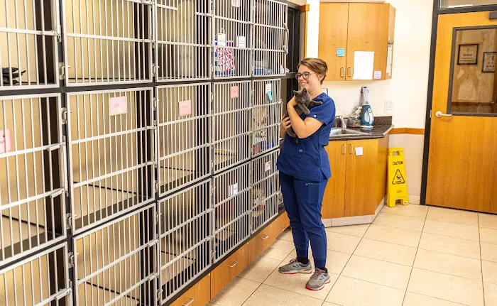 Talega Animal Hospital Picture 9
