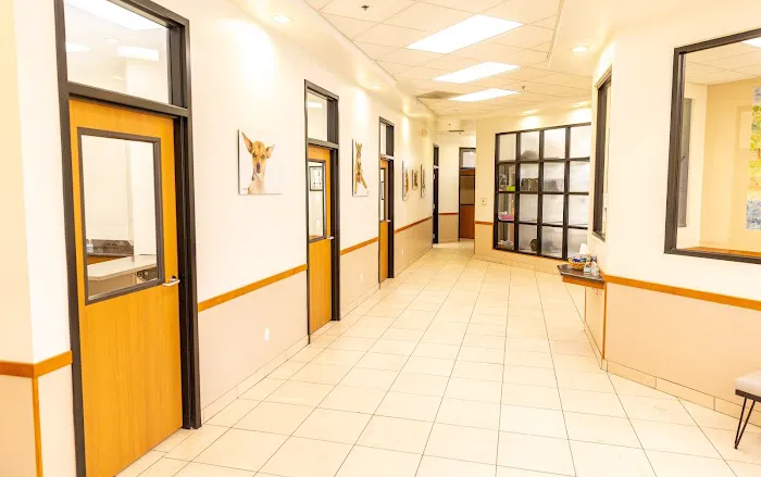Talega Animal Hospital Picture 4