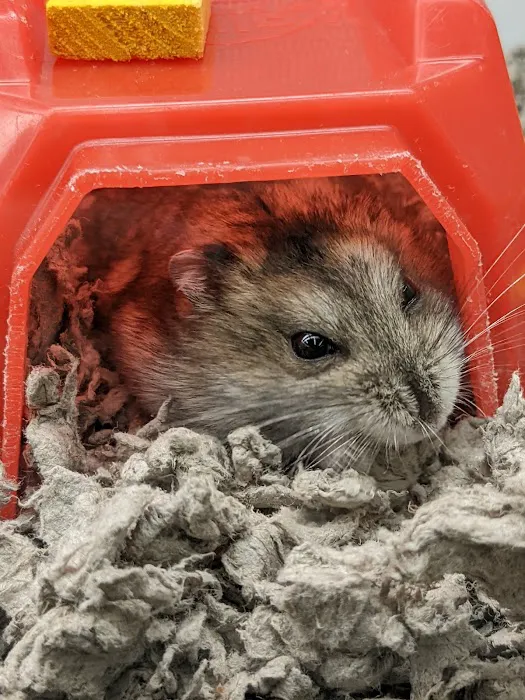 Petco Picture 5