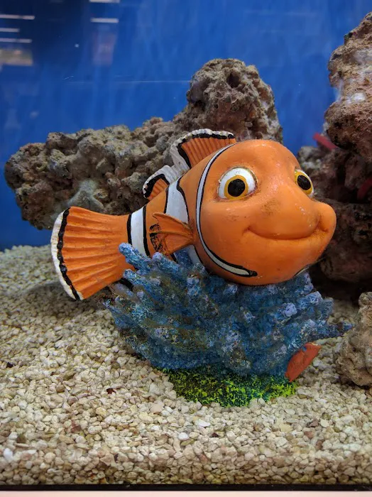 Petco Picture 9