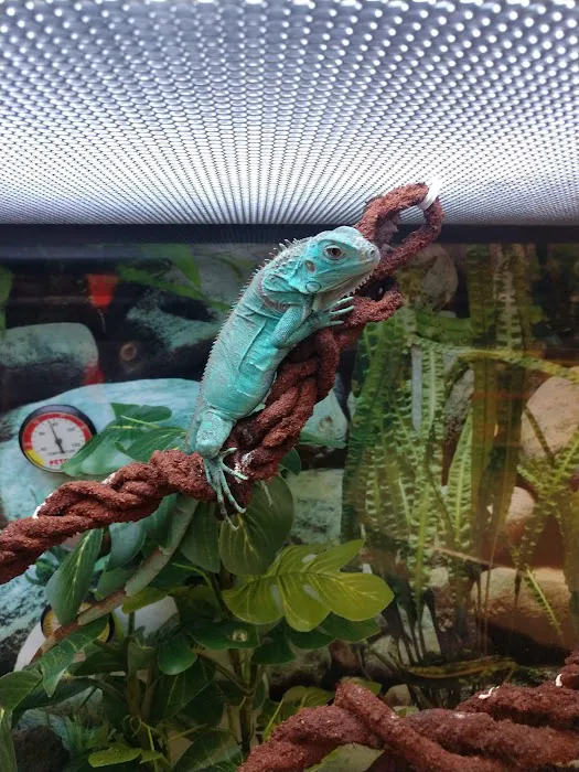 Petco Picture 1