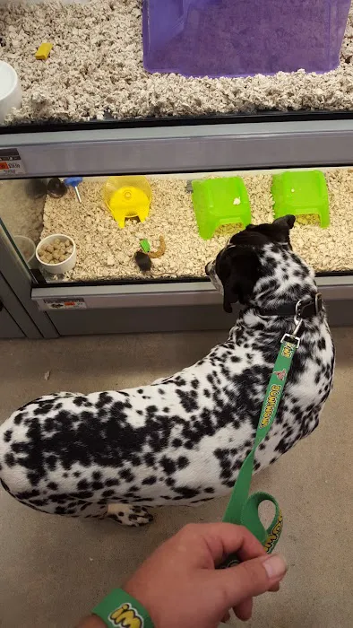 Petco Picture 4