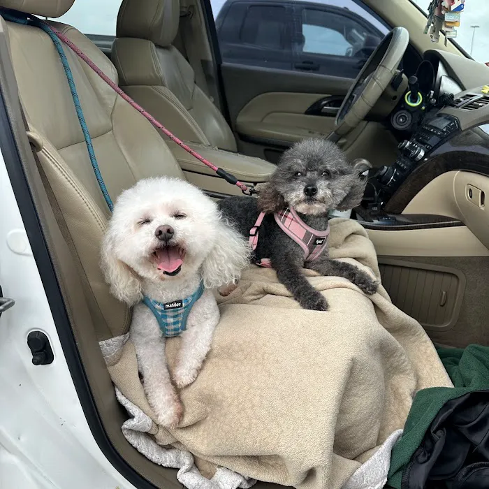 Petco Picture 10