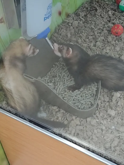Petco Picture 8