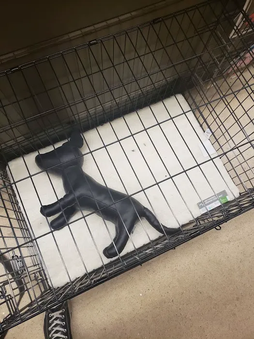 Petco Picture 2