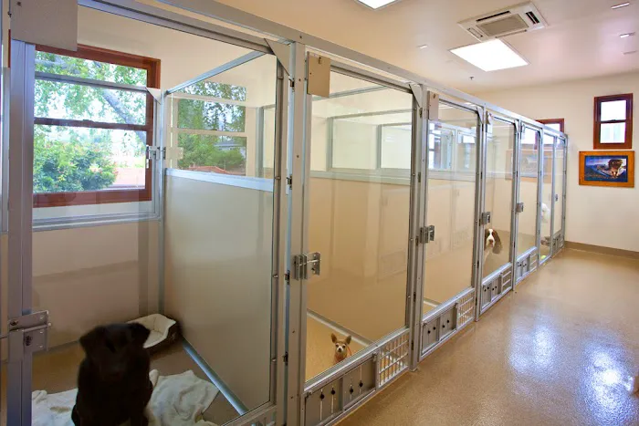 San Clemente Veterinary Hospital Picture 6