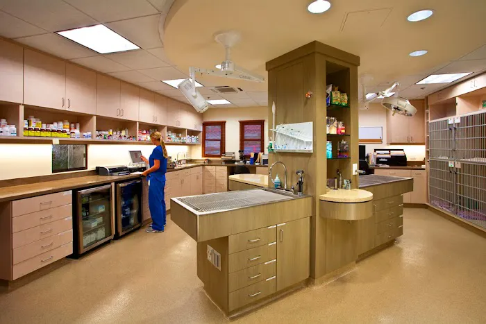 San Clemente Veterinary Hospital Picture 8