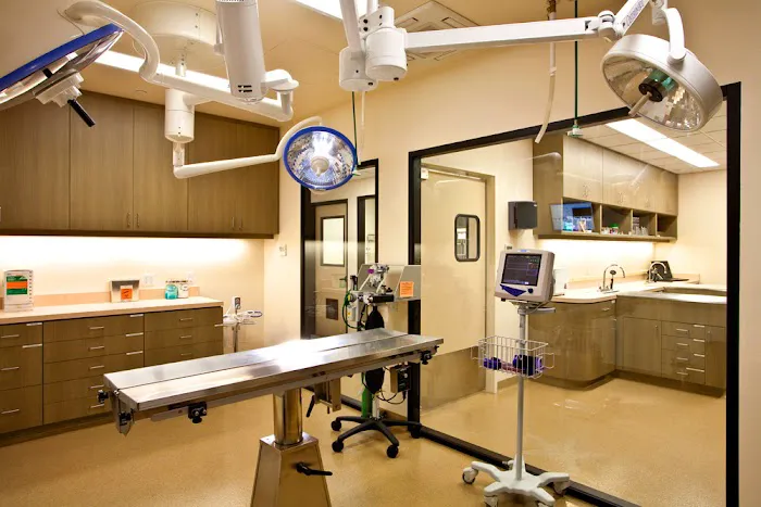 San Clemente Veterinary Hospital Picture 5
