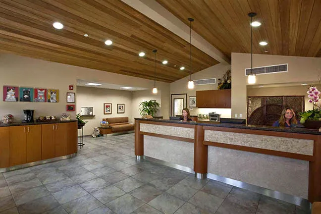 San Clemente Veterinary Hospital Picture 1