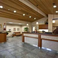 San Clemente Veterinary Hospital ico