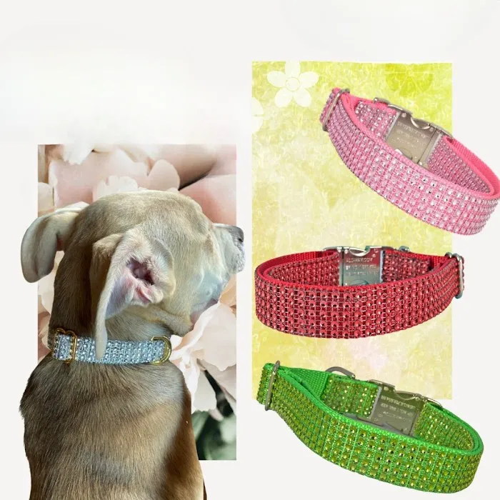 Sassy Dog Fashions Picture 5