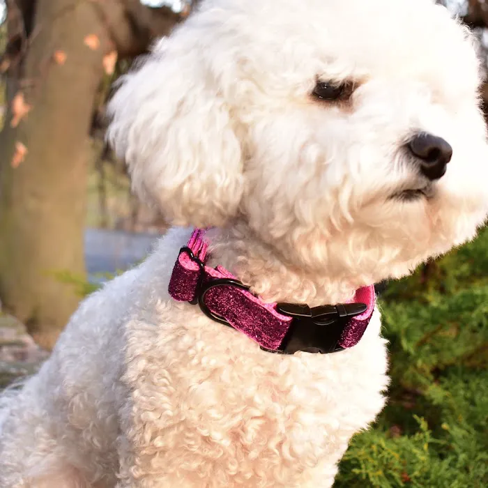 Sassy Dog Fashions Picture 6