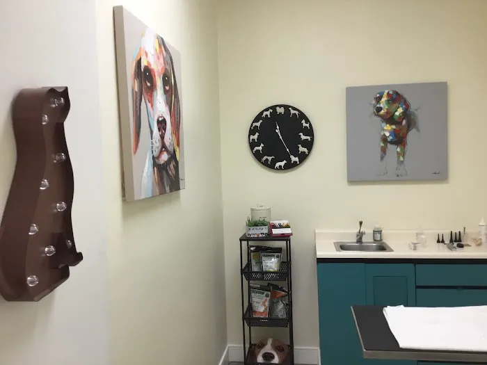 Camino Veterinary Hospital Picture 4