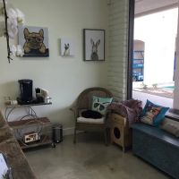 Camino Veterinary Hospital ico