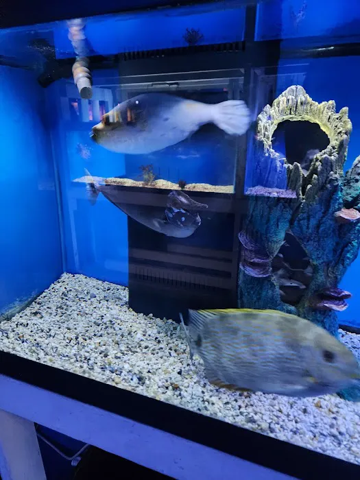 The Hidden Reef, Inc Picture 5