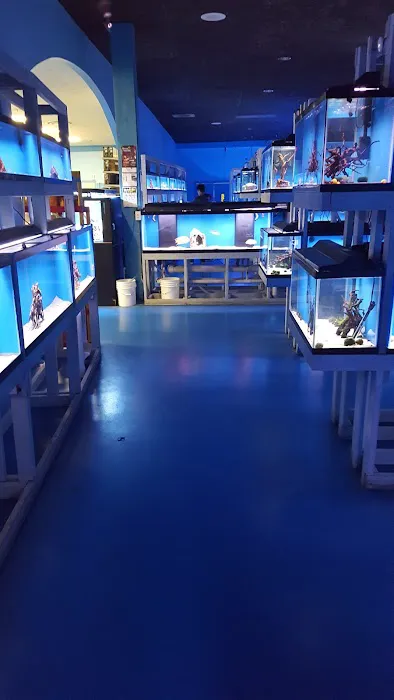 The Hidden Reef, Inc Picture 6