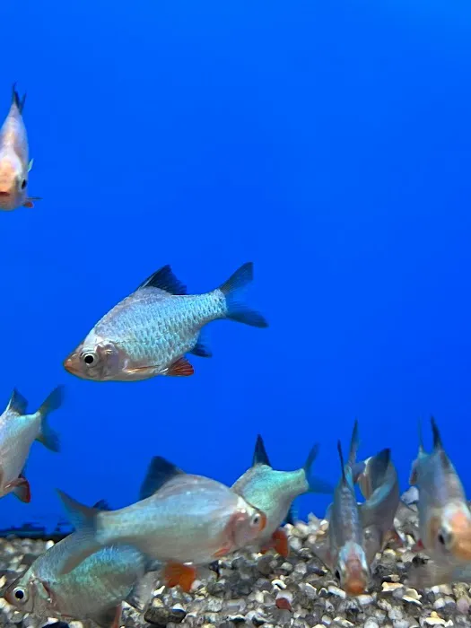 The Hidden Reef, Inc Picture 8