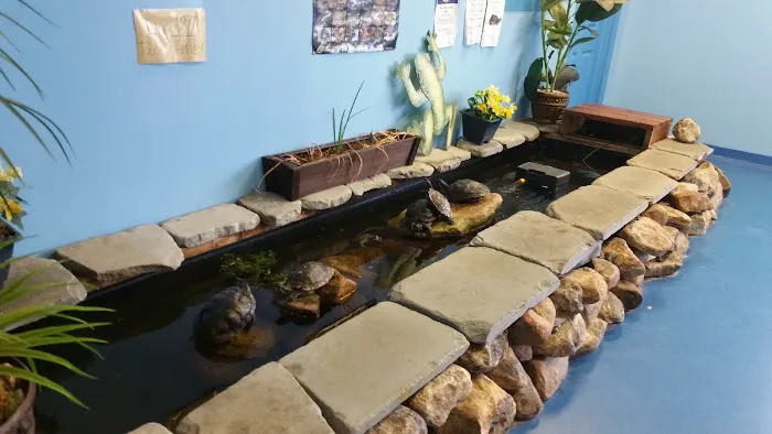 The Hidden Reef, Inc Picture 4