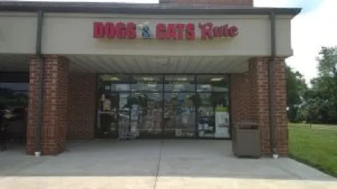 Dogs & Cats Rule Picture 3