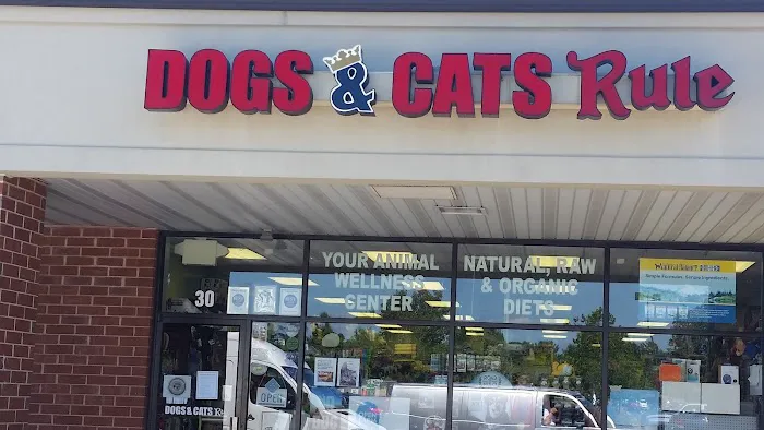 Dogs & Cats Rule Picture 8
