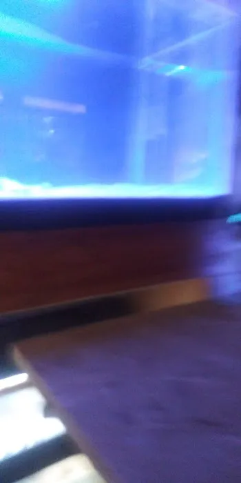 Cage-N-Tank Picture 7