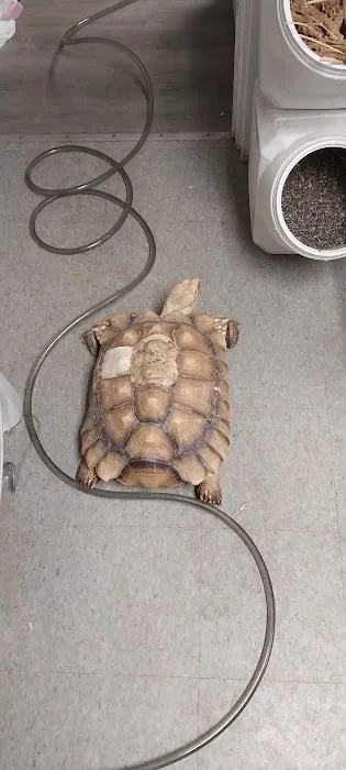 Cage-N-Tank Picture 5